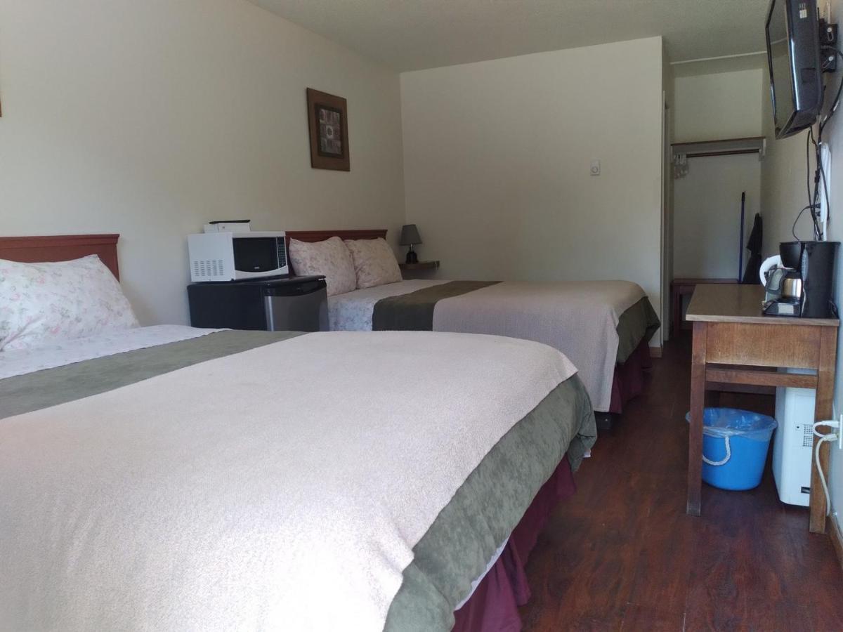 Dolphin Motel Tofino Extérieur photo