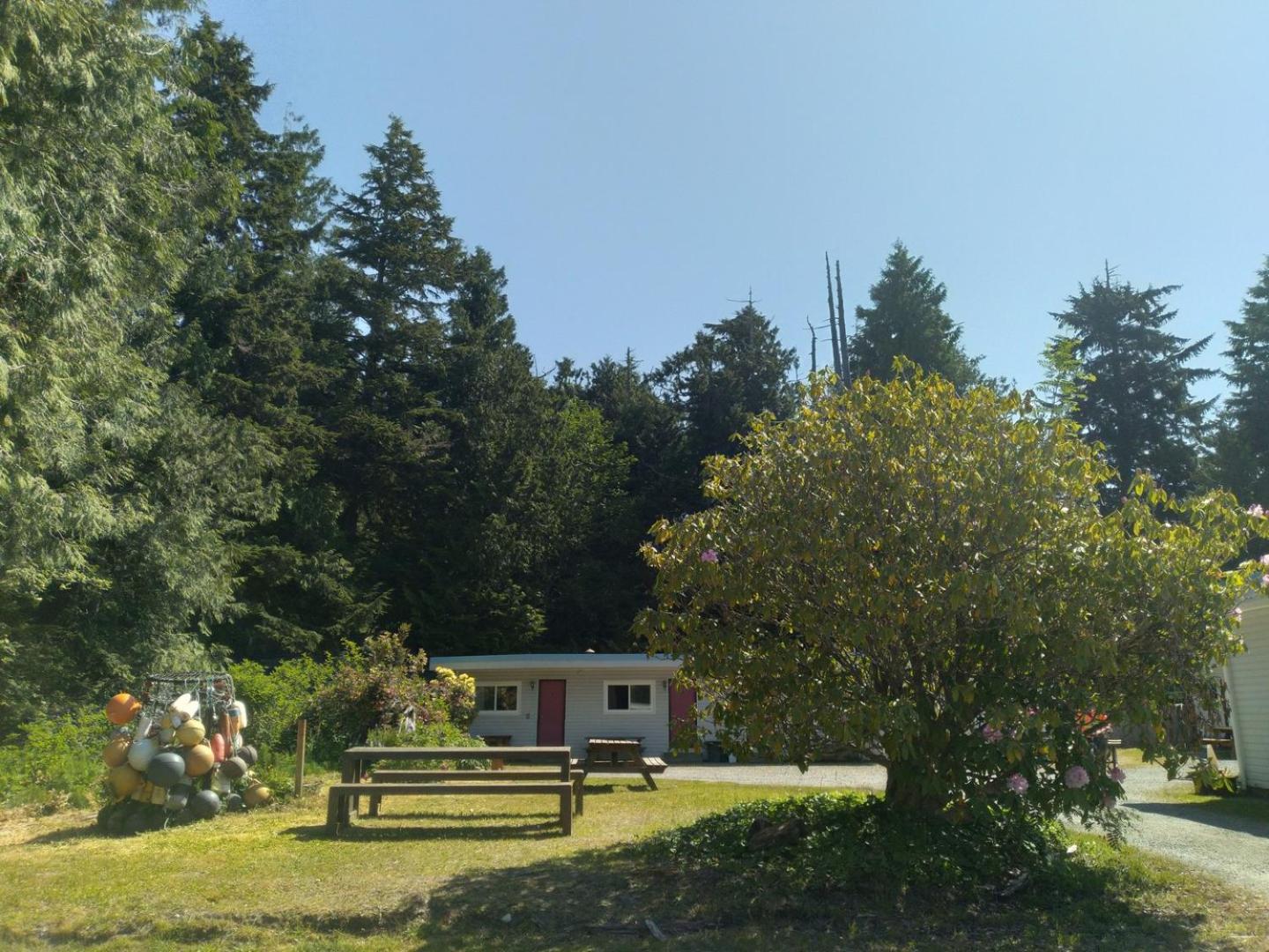 Dolphin Motel Tofino Extérieur photo